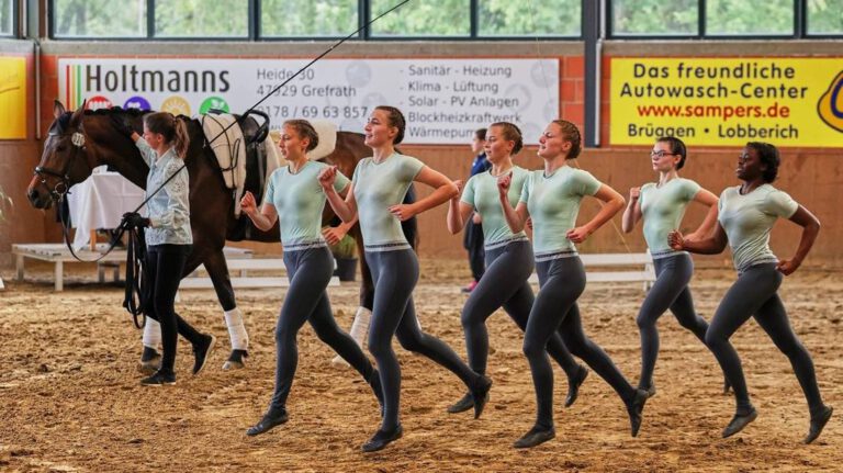 Turnen am Pferd und unternehmerischer Austausch